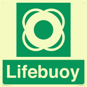 lifebuoy-with-symbol~